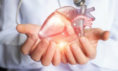 Heart Models That Bleed and Beat to Aid In The Education of Transplant Doctors