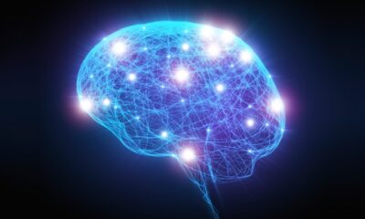 Study Shows Glucose Levels Affect Cognitive Performance in People with Type 1 Diabetes Differently