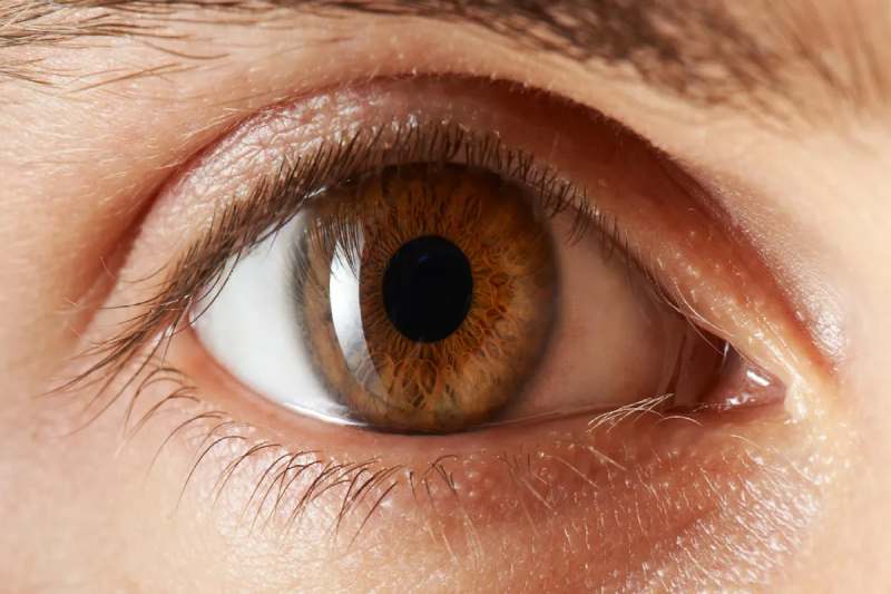 Eye Health